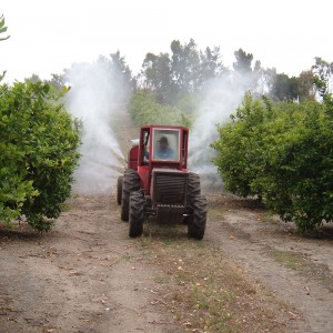 Pest Management Spraying